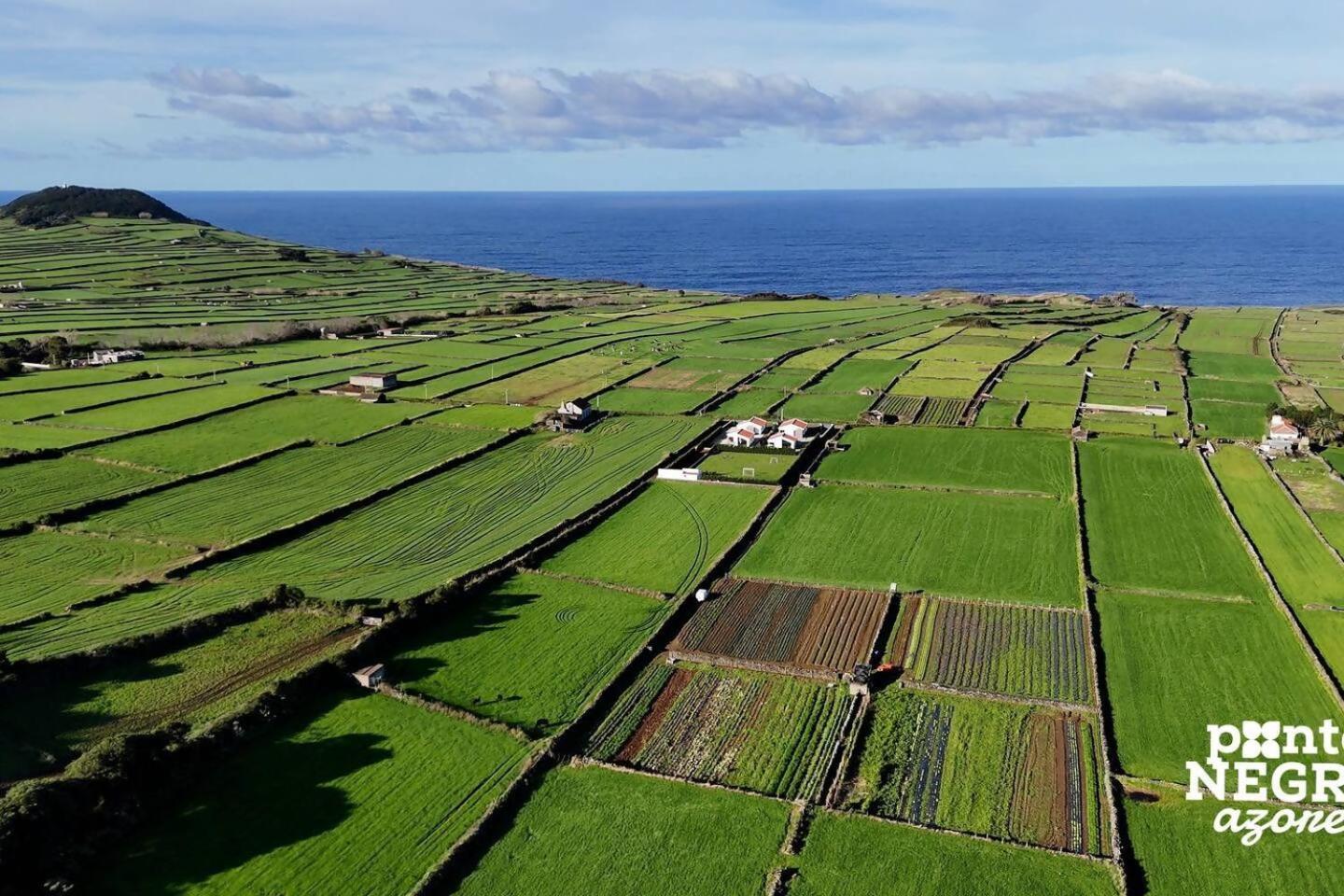 Wine House By Ponta Negra Azores Altares エクステリア 写真